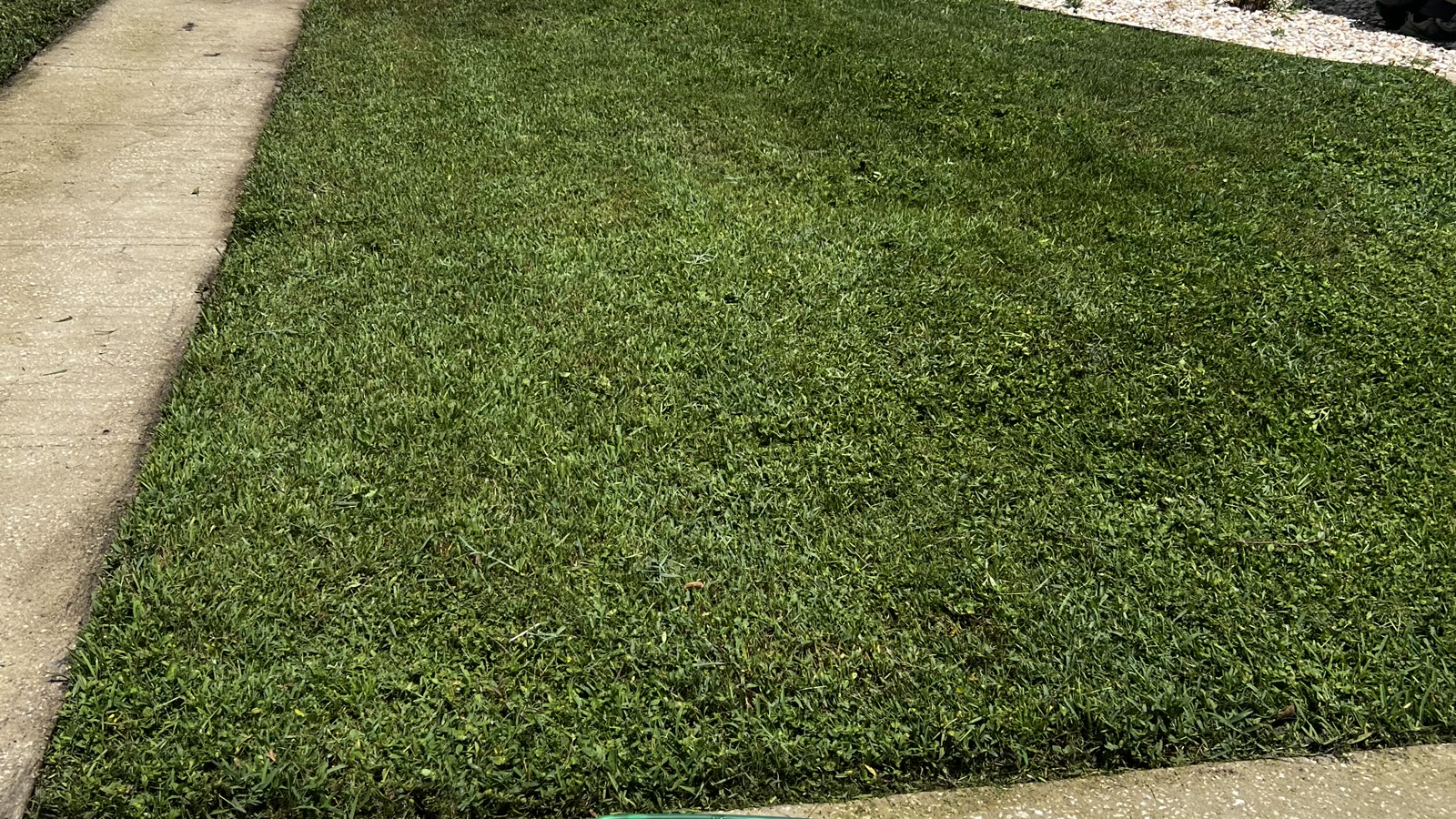 Freshly mowed, striped green lawn maintained by Big Mike's in North Brevard, Florida