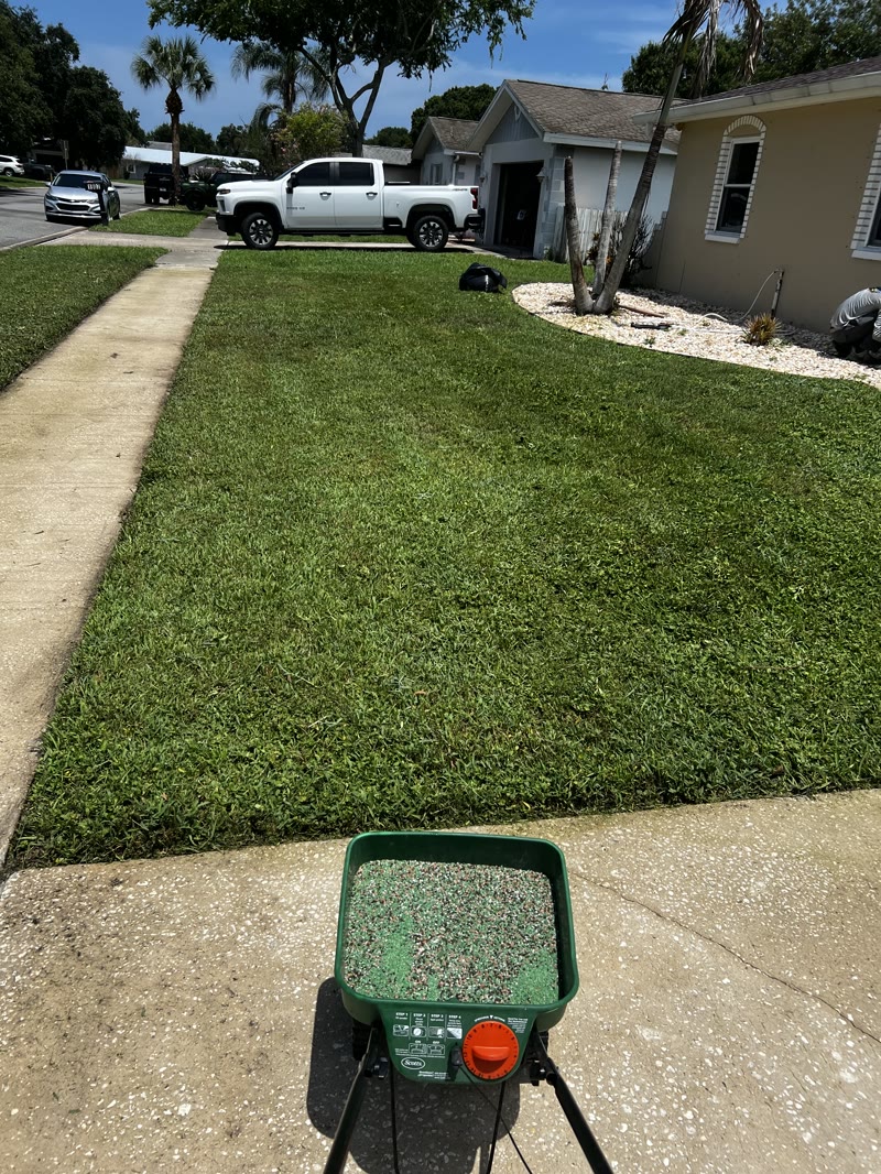 Freshly mowed and fertilized front lawn on a North Brevard property