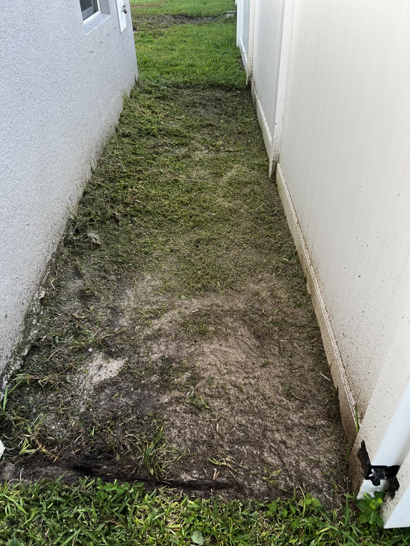 Fresh sod laid along a home foundation on a Cocoa-area property