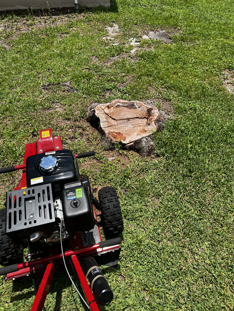 Stump ground flush and cleaned up on a North Brevard lot